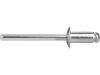 EXTOL nýty trhací hliníkové sada 1000ks, O 2,4x8mm plochá hlava (8813832)