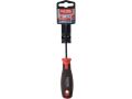 EXTOL šroubovák TORX, T15x100mm, CrV (8819245)