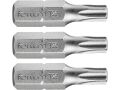 FORTUM-KITO hrot TORX sada 3ks, T 25x25mm, S2, FORTUM-KITO, hrot TORX sada 3ks, T 25x25mm, S2, FORTUM-KITO, S2 (4741425)