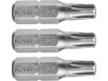 FORTUM-KITO hrot TORX sada 3ks, T 27x25mm, S2, FORTUM-KITO, hrot TORX sada 3ks, T 27x25mm, S2, FORTUM-KITO, S2 (4741427)