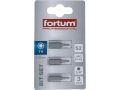 FORTUM-KITO hrot TORX sada 3ks, T 9x25mm, S2, FORTUM-KITO, hrot TORX sada 3ks, T 9x25mm, S2, FORTUM-KITO, S2 (4741409)