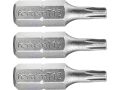 FORTUM-KITO hrot TORX sada 3ks, T 15x25mm, S2, FORTUM-KITO, hrot TORX sada 3ks, T 15x25mm, S2, FORTUM-KITO, S2 (4741415)