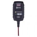 EMOS Nabíječka autobaterií 6/12V 0,8A 1608000001 (N1015)